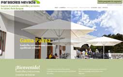 Diseño web en Aragón